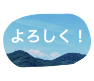 29730287
