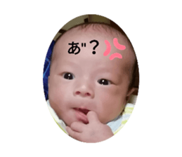 297365433