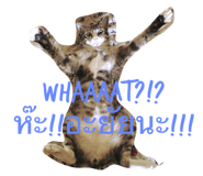 29743931