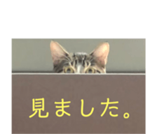 297463080