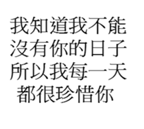 29748157