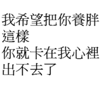 29748162