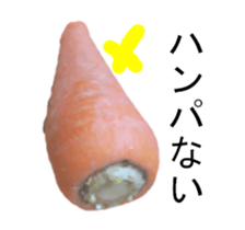 297548428