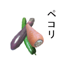 297548433