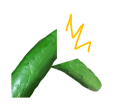 297548442