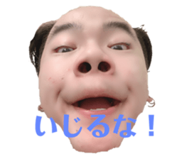 297573137