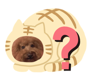 297609064