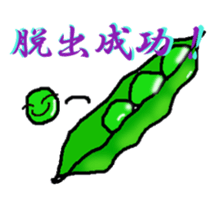 2976126