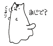 297684256