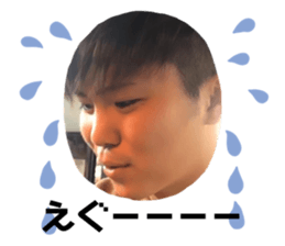 297793244