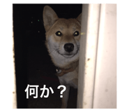 297842124