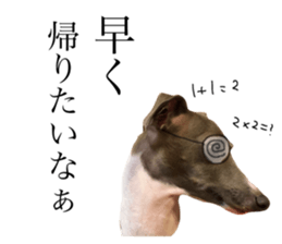 29786603