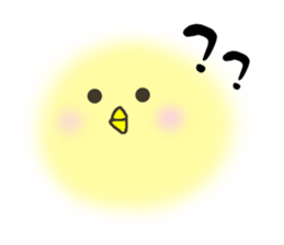 2978846