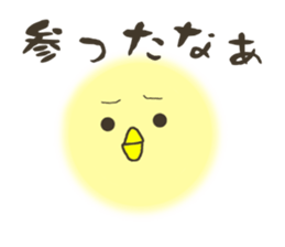 2978874
