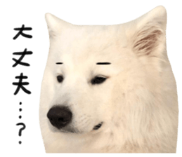297911208