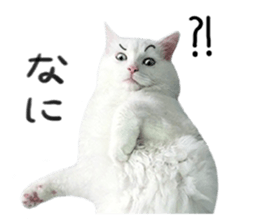 297911214
