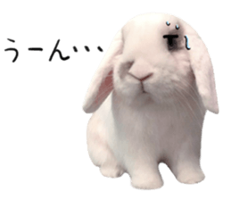 297911219