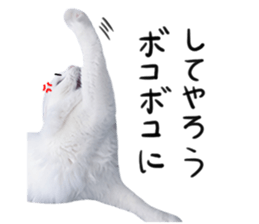 297911237