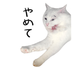 297911240