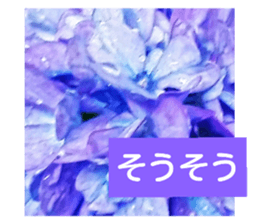 29792463