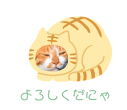 297928200