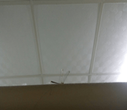 297949370