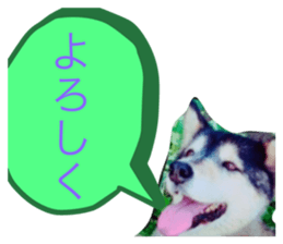 298024322