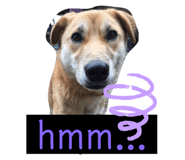 298058720