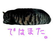 29817578