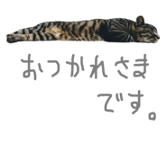 29817579