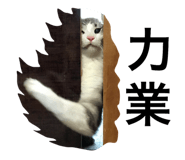 29817581