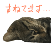 29817583