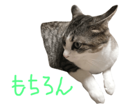 29817584