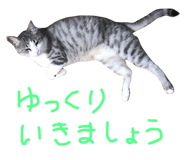 29817585