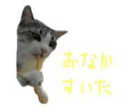 29817586