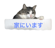 29817588