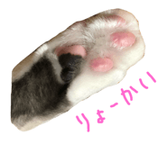 29817593