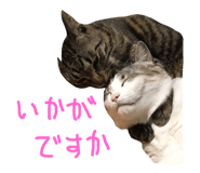 29817594