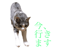 29817595