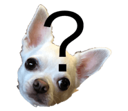 298189065