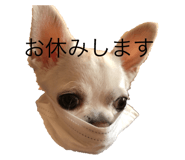 298189069