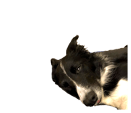 298203605