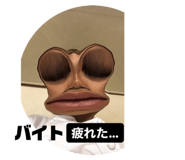 298224804