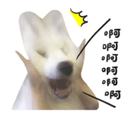 298505516