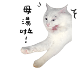 298505544