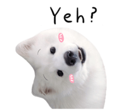 298505606