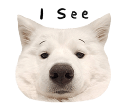 298505609