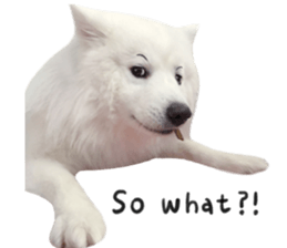298505625