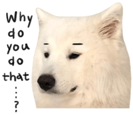 298505629