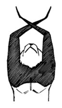 2985462